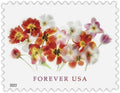 2022 Tulips Forever Postage Stamps