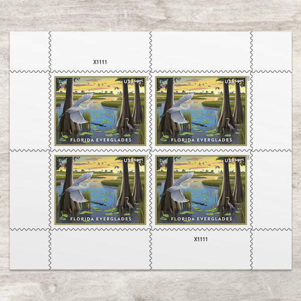 USPS 2023 Florida Everglades Stamp – Priority Mail Scenic Edition