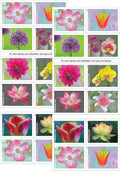 Garden Beauty Forever Postage Stamps