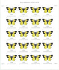 California Dogface Butterfly Forever Postage Stamps